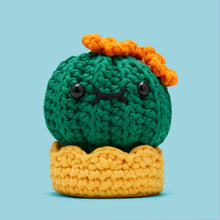 Load image into Gallery viewer, Prickle Your Fancy Bundle
