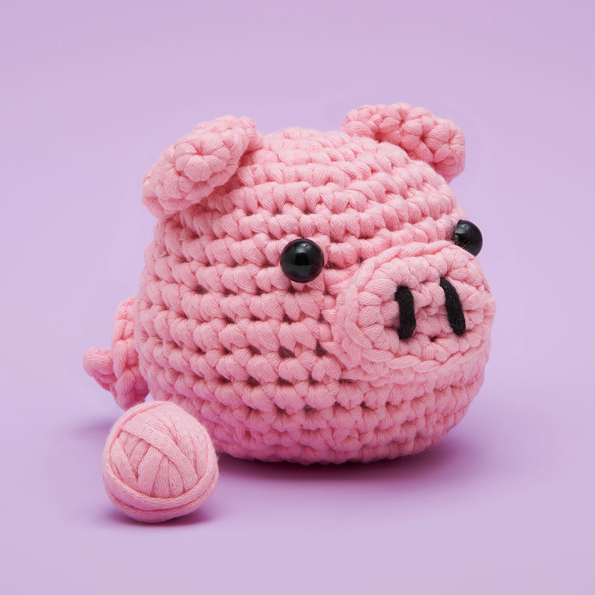 Bacon the Pig Beginner Crochet Kit