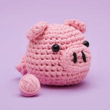 Load image into Gallery viewer, Old MacYarn-ald Had a Farm Bundle