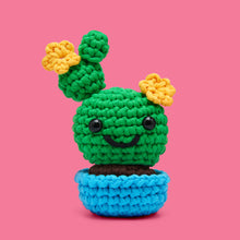 Load image into Gallery viewer, Prickle Your Fancy Bundle