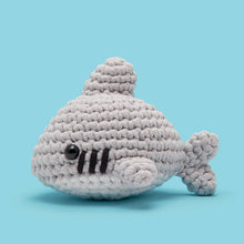 Load image into Gallery viewer, On Your Shark, Get Set, Go Bundle