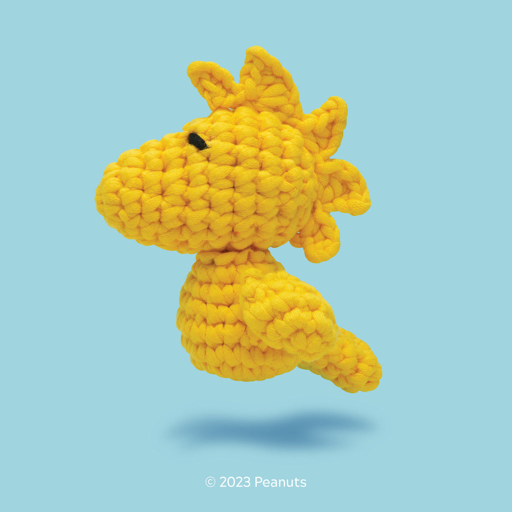 Rainbow Dinosaur Crochet Kit