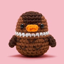 Load image into Gallery viewer, Duck, Duck, Goose Bundle