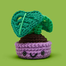 Load image into Gallery viewer, Ophelia the Monstera Plant Crochet Kit