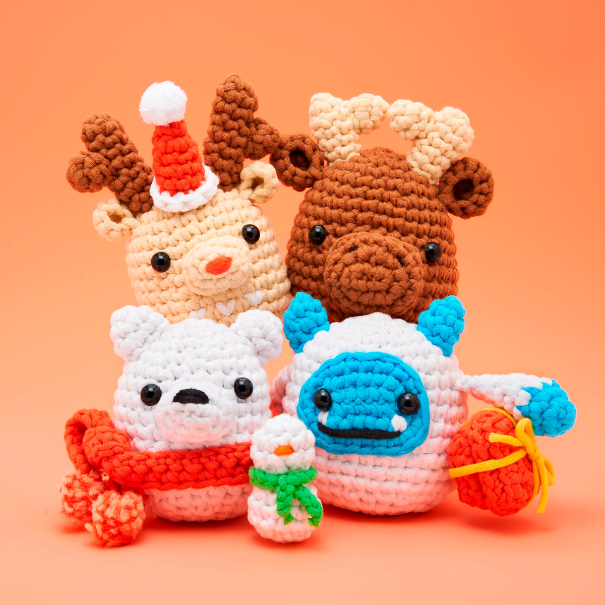 Beginners Crochet: The Woobles Beginner Accessories