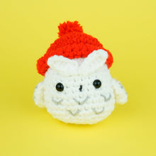 Load image into Gallery viewer, Tiny Beanie Accessory Kit
