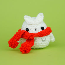 Load image into Gallery viewer, Tiny Scarf Accessory Kit