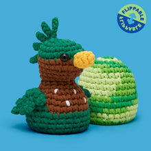Load image into Gallery viewer, Kimi the Green Heron Crochet Kit
