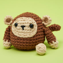 Load image into Gallery viewer, Monkey Crochet Kit
