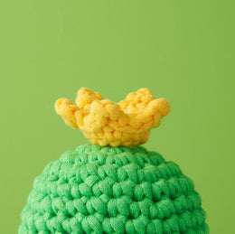 Tiny Crown Accessory Kit