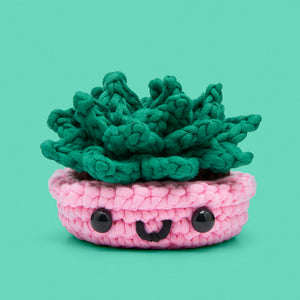 succulent yarn Succulent Crochet Kit