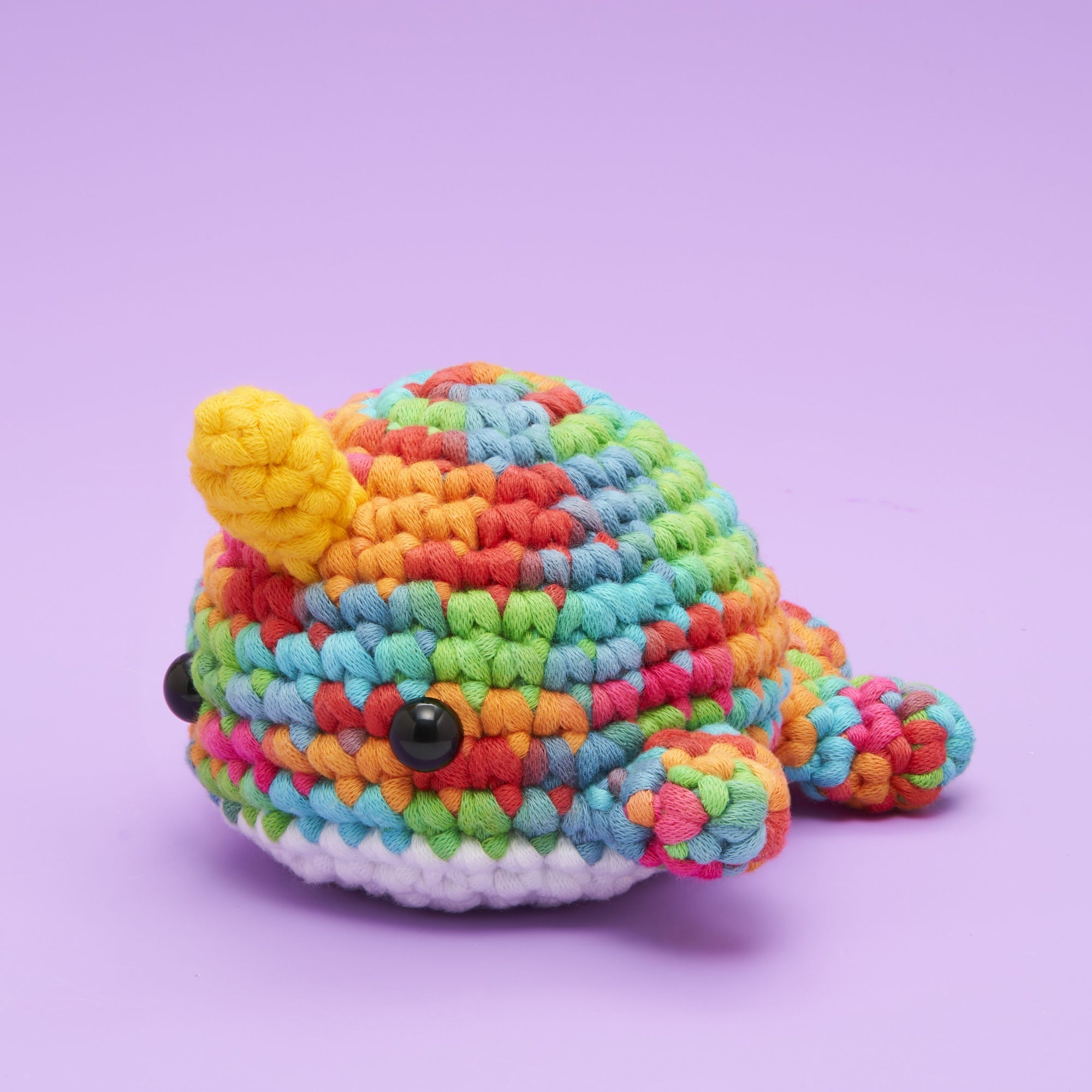  TEHAUX 2 Rolls Crochet Yarn for Beginners Rainbow Yarn