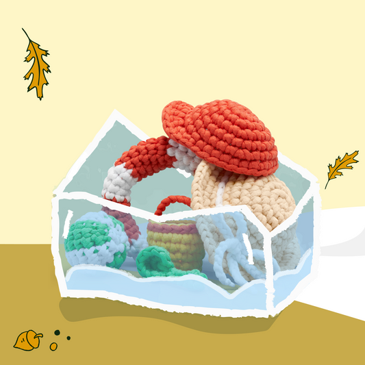 Summer Accessories Bundle