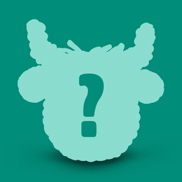 Mystery Wooble