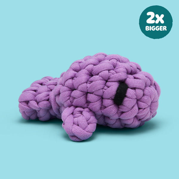 manateeページ　スクイーズ4点 Tiny Manatee Extra Squeezy Accessory Kit – The Woobles