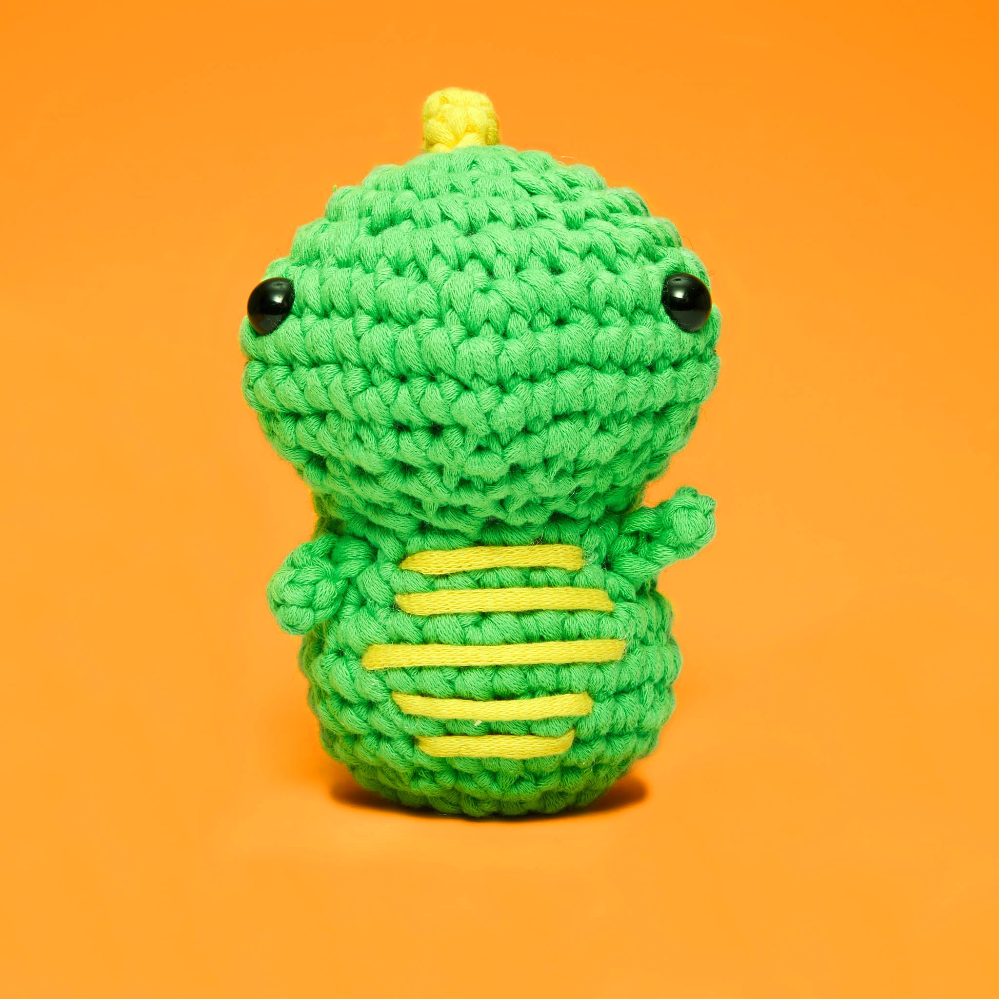Dinosaur Crochet Kit for Beginners The Woobles