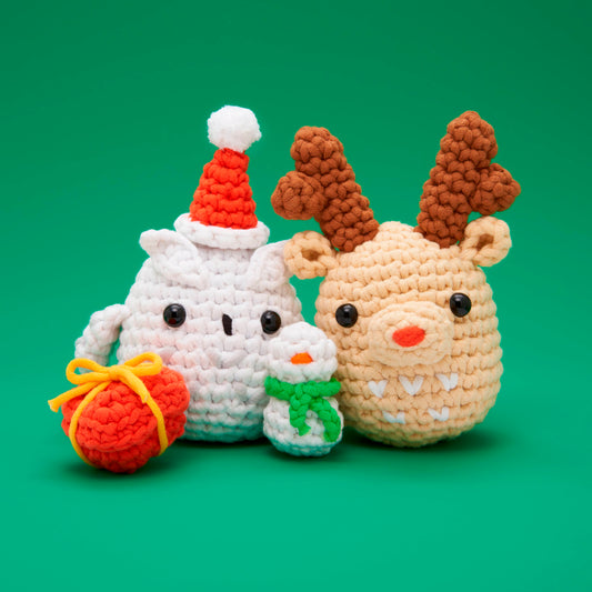 Snow Much Fun Accessory Bundle
