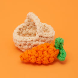 Tiny Carrot and Basket Accessory Kit