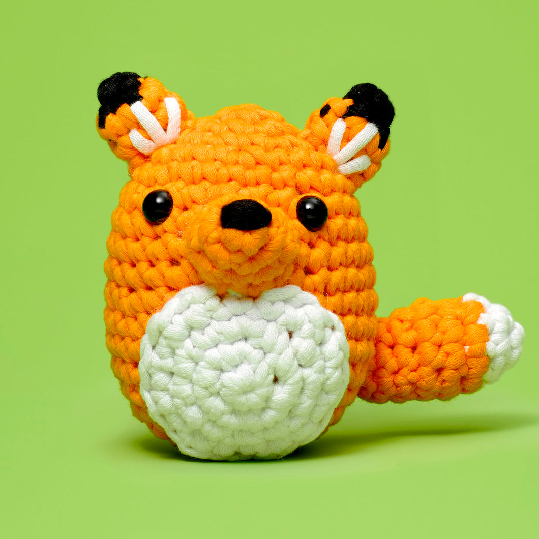 Crochet Kit for Beginners, Animal Crochet Starter Kit, Crocheting Cartoon  Cat Kit for Adults, Complete Starter Knitting Kit with Step-by-Step Video