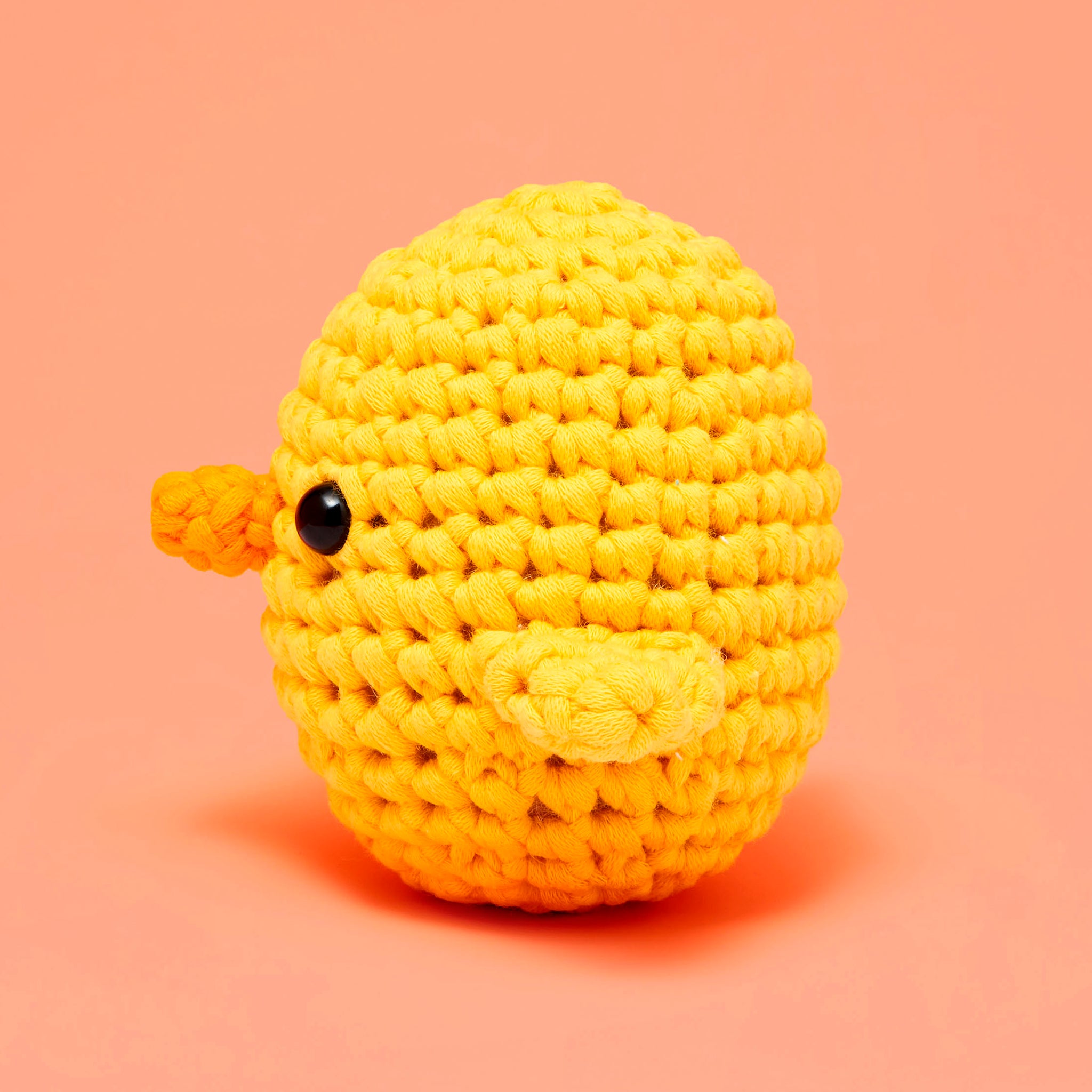 Chirpy Chick Crochet Kit for Beginners 2Pcs - Beginner Crochet